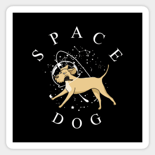 Space Dog Sticker